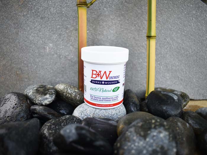 Amish Burn Cream
