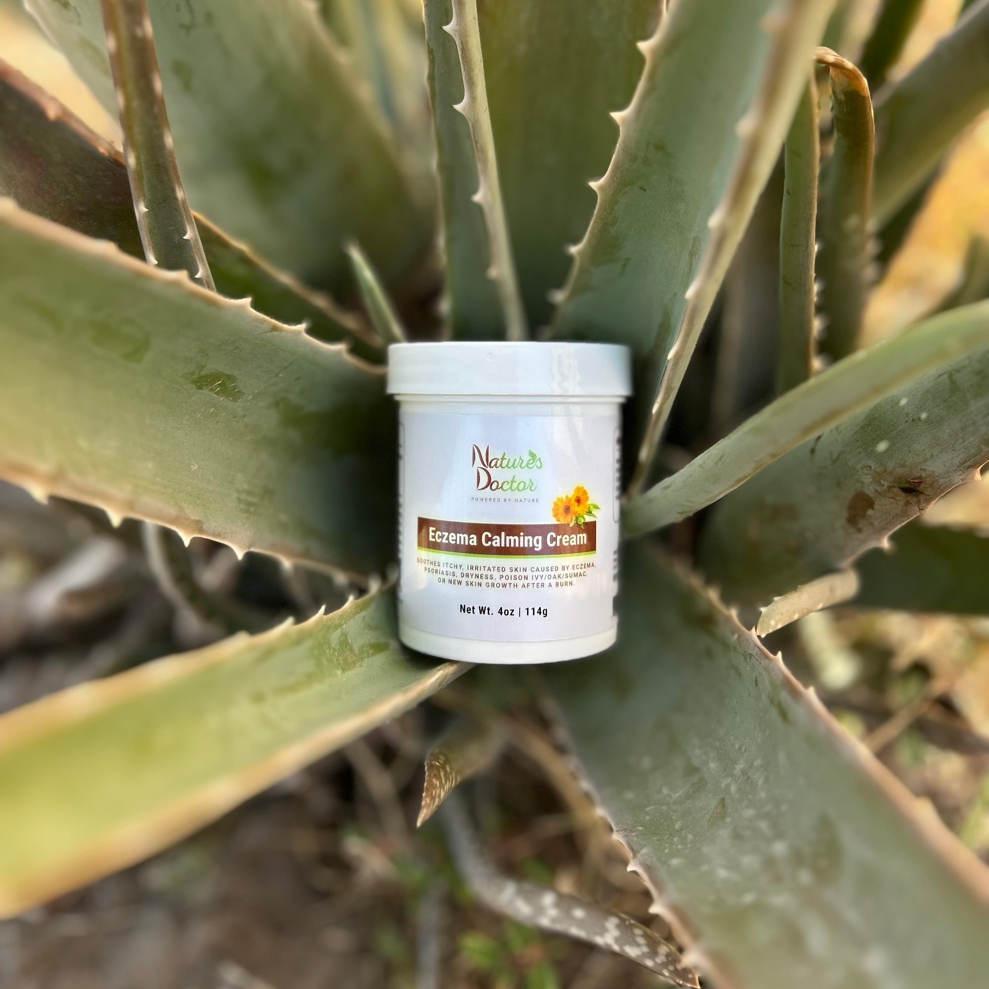 Container of Nature's Doctor Eczema Calming Cream on a Aloe Vera Plant
