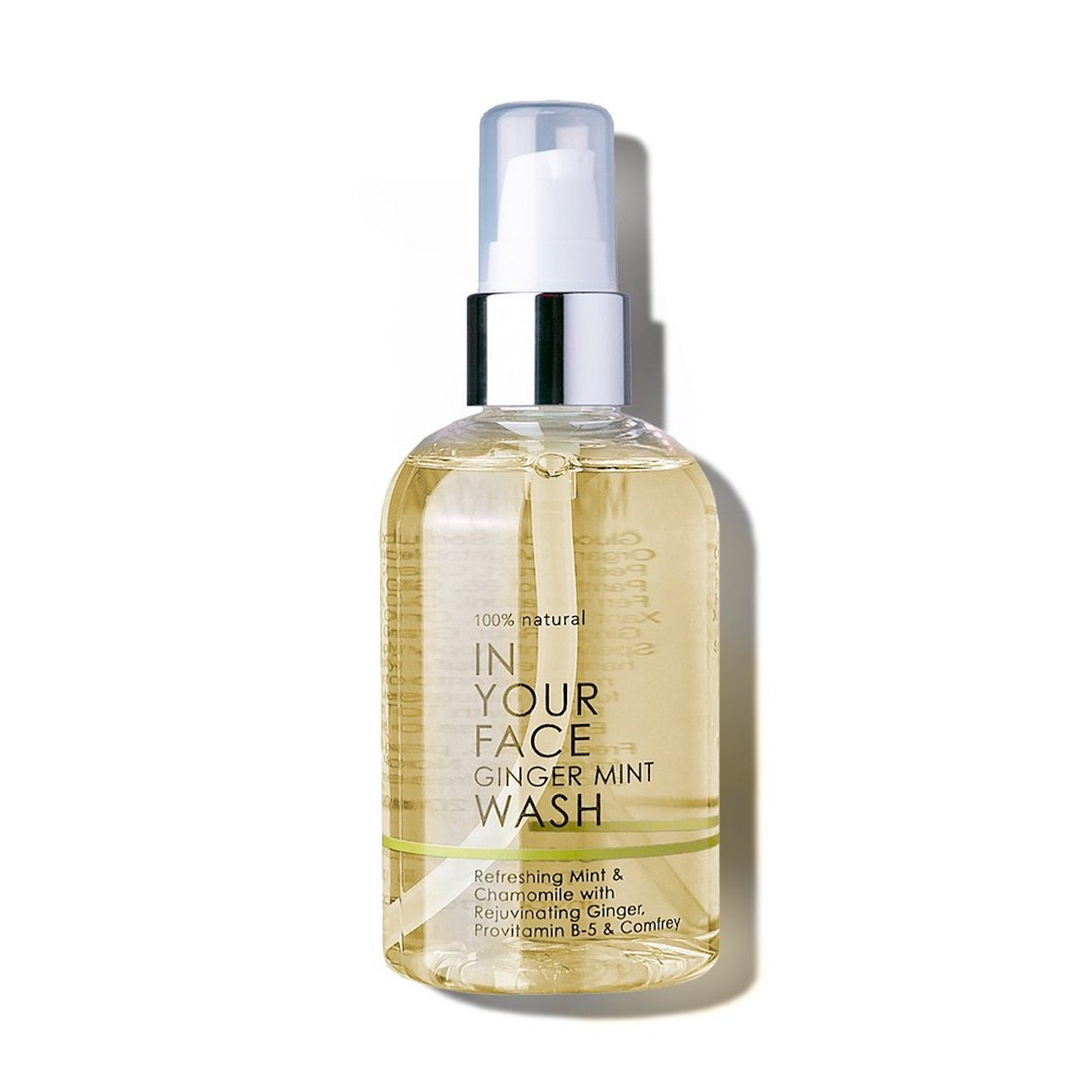In Your Face Ginger Mint Wash in a clear bottle with a pump, designed for refreshing and cleansing the skin with natural mint and ginger.