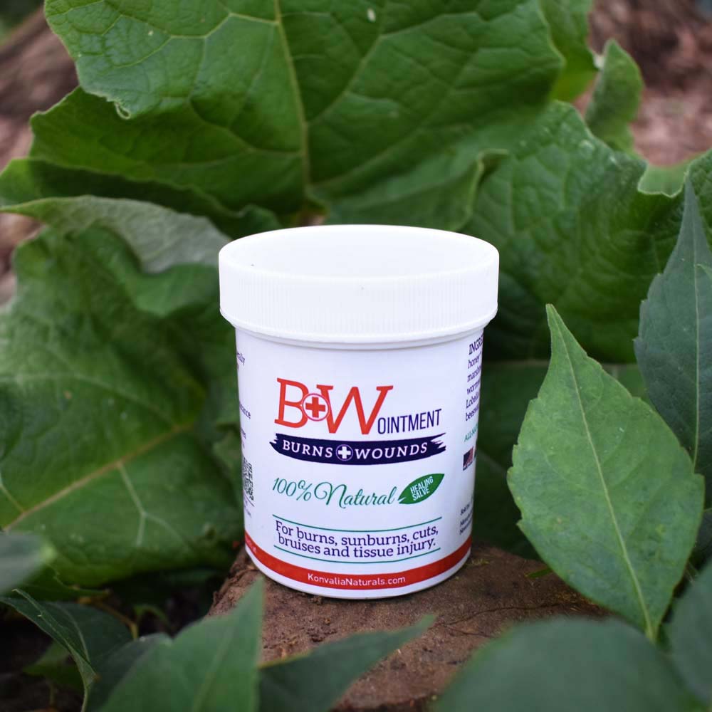 B&W Ointment for Burns and Wounds in 4 oz container, surrounded by green burdock leaves,100% natural healing salve designed for fast healing and pain relief from burns, cuts, scrapes, and more