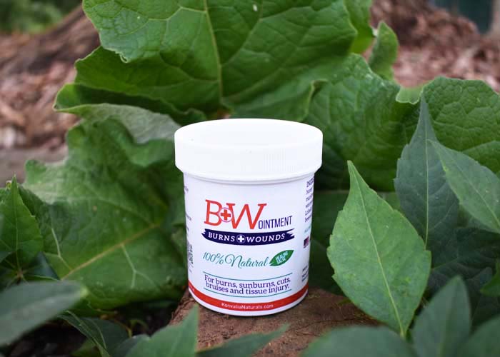 Natural Amish Burn Ointment